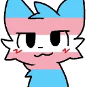 transbk