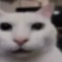 1000055886