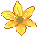 lilies