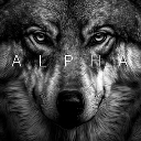 Wolf face staring intensely with high-contrast black and white fur textures.