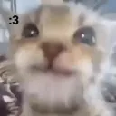 appycat