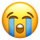 cryyy2
