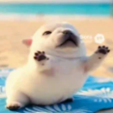 :deasoficia: