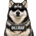 Husky_dilligaf