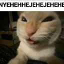 catmuhehueh custom emote | Asobu