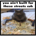 A fluffy gray cat sits in the center of a pile of money and firearms with text above reading you ain't built for these stree…