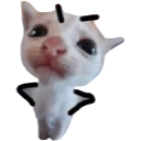 A small white kitten with large eyes and hand-drawn black stick arms resting on its hips.