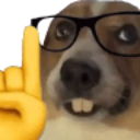 Y_Akshually Discord Emoji | Arion Legends