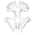 white_89985callofdutyghost