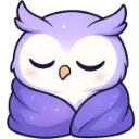 purple_CozyOwl