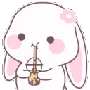 pink_341324pinkbunnyboba