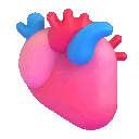 :anatomicalheart: