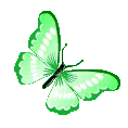 green_42784butterflygreen
