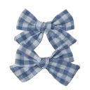 blue_543971bluebows