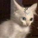 Shadow_confused_ custom emote | ShadowXD