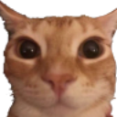 :kadse: