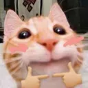 FH_pweassseee