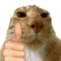 :thumbsup: