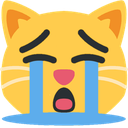 :sobcat:
