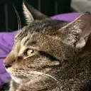 bombastic_side_eye