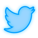 neon_twitter_bird Discord Emoji from [𝐓𝐃𝐅] 𝑻𝑹𝑶𝑷𝑨 𝑫𝑨 𝑭𝑹𝑨𝑵Ç𝑨 🇫🇷