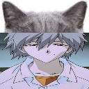 :kaworucat:
