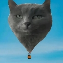 :hotairballooncat: