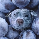 :blueberryvinnie: