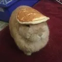 pancakebunny
