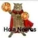 2hola_ene Discord sticker - Silliest Furs