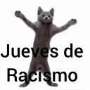 A gray cat standing on its hind legs with arms raised in the air above the text Jueves de Racismo.