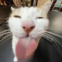 silly