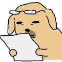 :gy:
