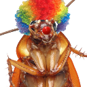 :he: