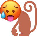 HotMonkey_