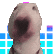 416019walterjam