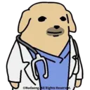631318dogtor