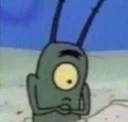 plankton