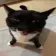 bleh