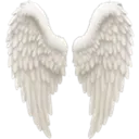 whitewings