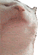 catjamhaha Discord emoji
