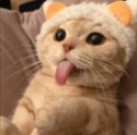 kifocka_ny custom emote from ƤŞ¥ĆĦ'Ş ĆØŽ¥ ŇØØҜ