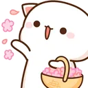 welcome_kitty