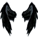 z_wings