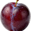 A ripe purple plum with water droplets on its skin.