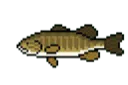 Smallmouthbass