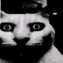 :gatodemonho:
