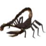 A low-polygon brown scorpion with its tail arched and stinger raised.