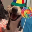 emoji_1