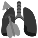 A pair of gray lungs being pierced by a gray arrow.